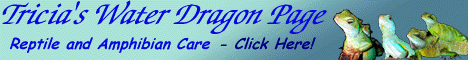 Tricia's Water Dragon Page Banner